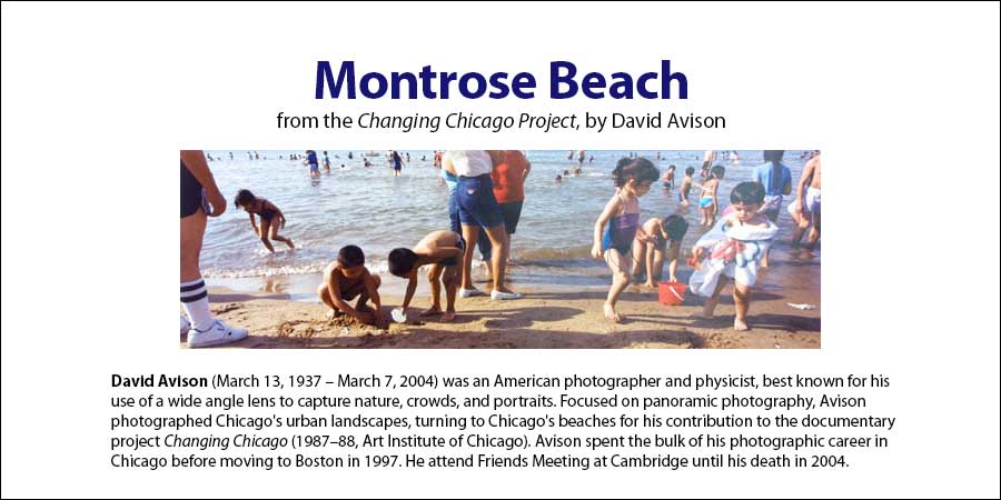 Montrose Beach Chicago, David Avison