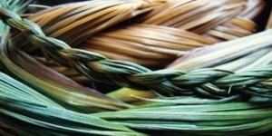 Braided sweetgrass